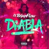DJ Bryanflow & Rodrigo Puente - Diabla - Single
